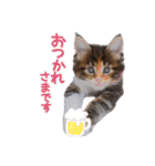 魔女の子4（個別スタンプ：27）