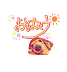 borzoiのいる暮らし（個別スタンプ：3）