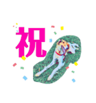 borzoiのいる暮らし（個別スタンプ：18）