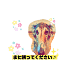 borzoiのいる暮らし（個別スタンプ：37）