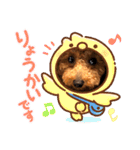 ショコロンスタンプ普段用（個別スタンプ：12）