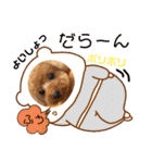 ショコロンスタンプ普段用（個別スタンプ：17）