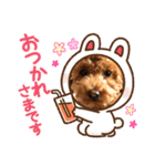 ショコロンスタンプ普段用（個別スタンプ：24）