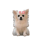 たらおもきたよ（個別スタンプ：1）