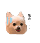 たらおもきたよ（個別スタンプ：9）