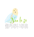 インコとイタリア語でチャオ（個別スタンプ：29）