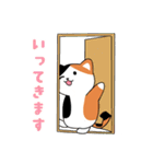 日常会話で使える猫のひーちゃんスタンプ（個別スタンプ：9）