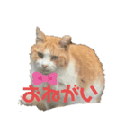マイケルの生活（個別スタンプ：2）