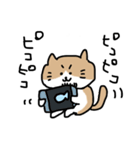 あごひげねこ（個別スタンプ：3）