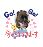 ピコチャッピーこのはつひまりつ参上（個別スタンプ：9）