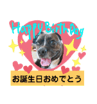ピコチャッピーこのはつひまりつ参上（個別スタンプ：11）