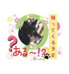 ピコチャッピーこのはつひまりつ参上（個別スタンプ：20）