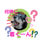 ピコチャッピーこのはつひまりつ参上（個別スタンプ：21）