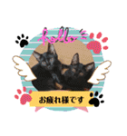 ピコチャッピーこのはつひまりつ参上（個別スタンプ：31）