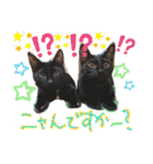 ピコチャッピーこのはつひまりつ参上（個別スタンプ：32）