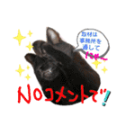 ピコチャッピーこのはつひまりつ参上（個別スタンプ：33）