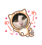 モアナちゃんの日常スタンプ（個別スタンプ：7）