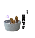 ルイるあ3（個別スタンプ：3）