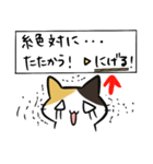 オワタ猫スタンプ（個別スタンプ：26）