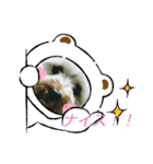 チョコ＆ミルク＆くぅちゃん♡♡（個別スタンプ：2）
