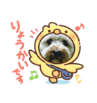 チョコ＆ミルク＆くぅちゃん♡♡（個別スタンプ：10）