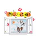 ミルク✩ココア✩ラテのスタンプ（個別スタンプ：1）