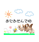 ミルク✩ココア✩ラテのスタンプ（個別スタンプ：4）
