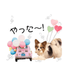 ミルク✩ココア✩ラテのスタンプ（個別スタンプ：7）