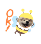 ぼくぺぺだよ（個別スタンプ：1）
