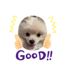 ぼくぺぺだよ（個別スタンプ：6）