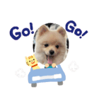 ぼくぺぺだよ（個別スタンプ：8）