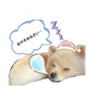 ぼくぺぺだよ（個別スタンプ：10）