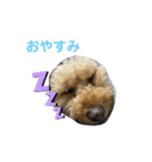 ぷっちだよ（個別スタンプ：2）
