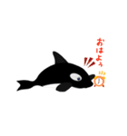 シャチの日常会話LINEスタンプ（個別スタンプ：1）