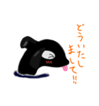 シャチの日常会話LINEスタンプ（個別スタンプ：6）