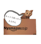ツナ ビッグキャット2（個別スタンプ：3）