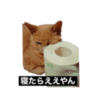 ツナ ビッグキャット2（個別スタンプ：8）