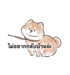 柴犬スス-面白い日常生活 （タイ語）（個別スタンプ：21）