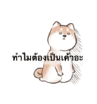 柴犬スス-面白い日常生活 （タイ語）（個別スタンプ：36）