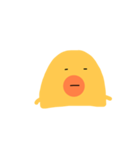 ピヨ  ピヨ（個別スタンプ：1）