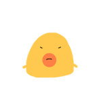 ピヨ  ピヨ（個別スタンプ：3）