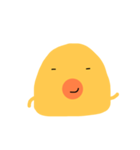 ピヨ  ピヨ（個別スタンプ：5）