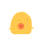 ピヨ  ピヨ（個別スタンプ：7）