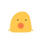 ピヨ  ピヨ（個別スタンプ：8）