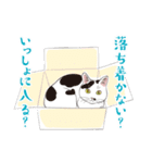 〆にゃんこ（個別スタンプ：11）