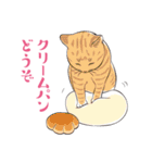 〆にゃんこ（個別スタンプ：12）