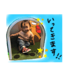 敬語みんみん（個別スタンプ：5）