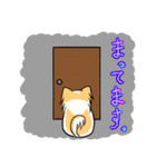 イヌときどきネコ（個別スタンプ：11）