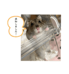 とっとこ毎日こうしくん（個別スタンプ：2）
