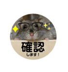 とっとこ毎日こうしくん（個別スタンプ：3）